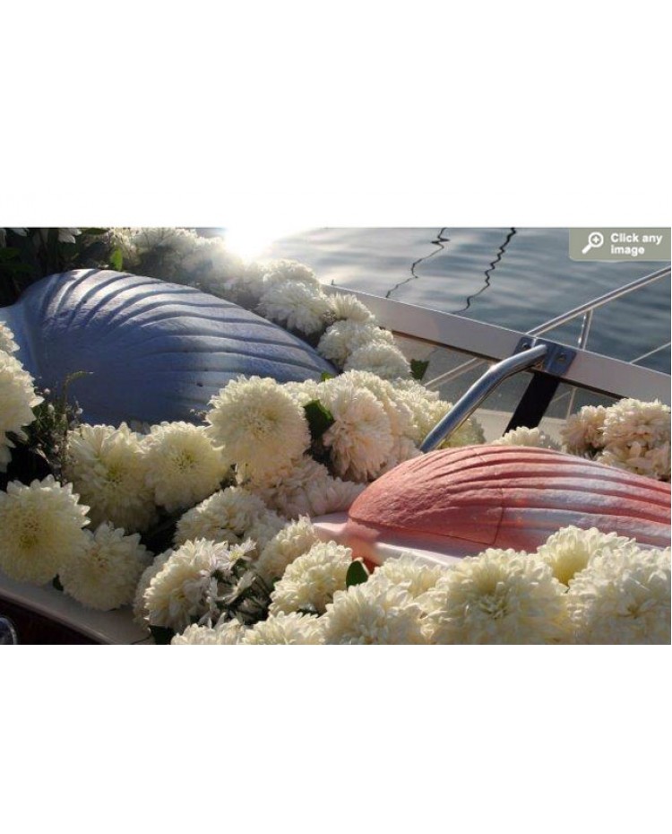 5 Modern Water Burial Urns | Urns For Angels